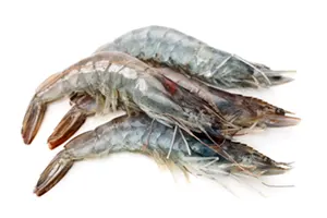 שרימפס קריסטל