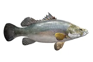 נסיכת הנילוס